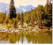 Montana1985  019
